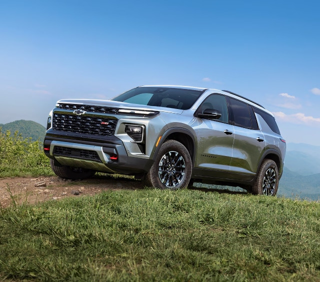 Silver SUV on a grassy hill with a blue sky and mountains in the background.